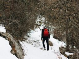 Hiking-Bryan Hackleman