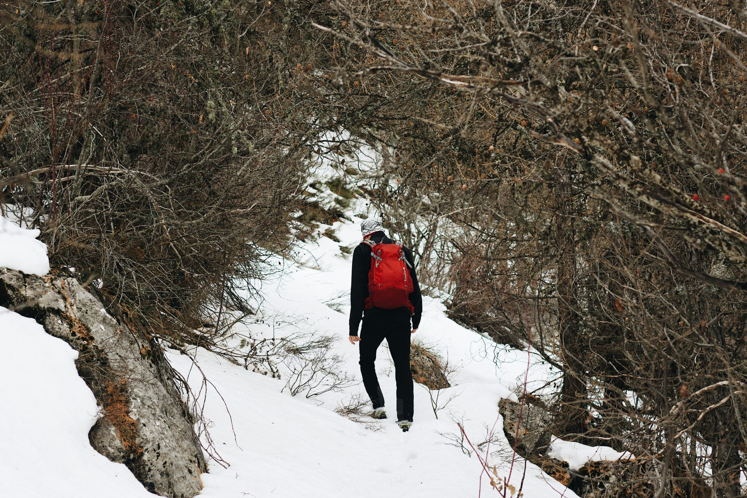 Hiking-Bryan Hackleman