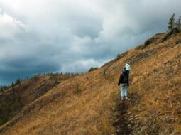 Exploring the Advantages of Hiking A Path to Better Physical and Mental Health