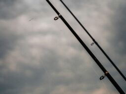 fishing skills