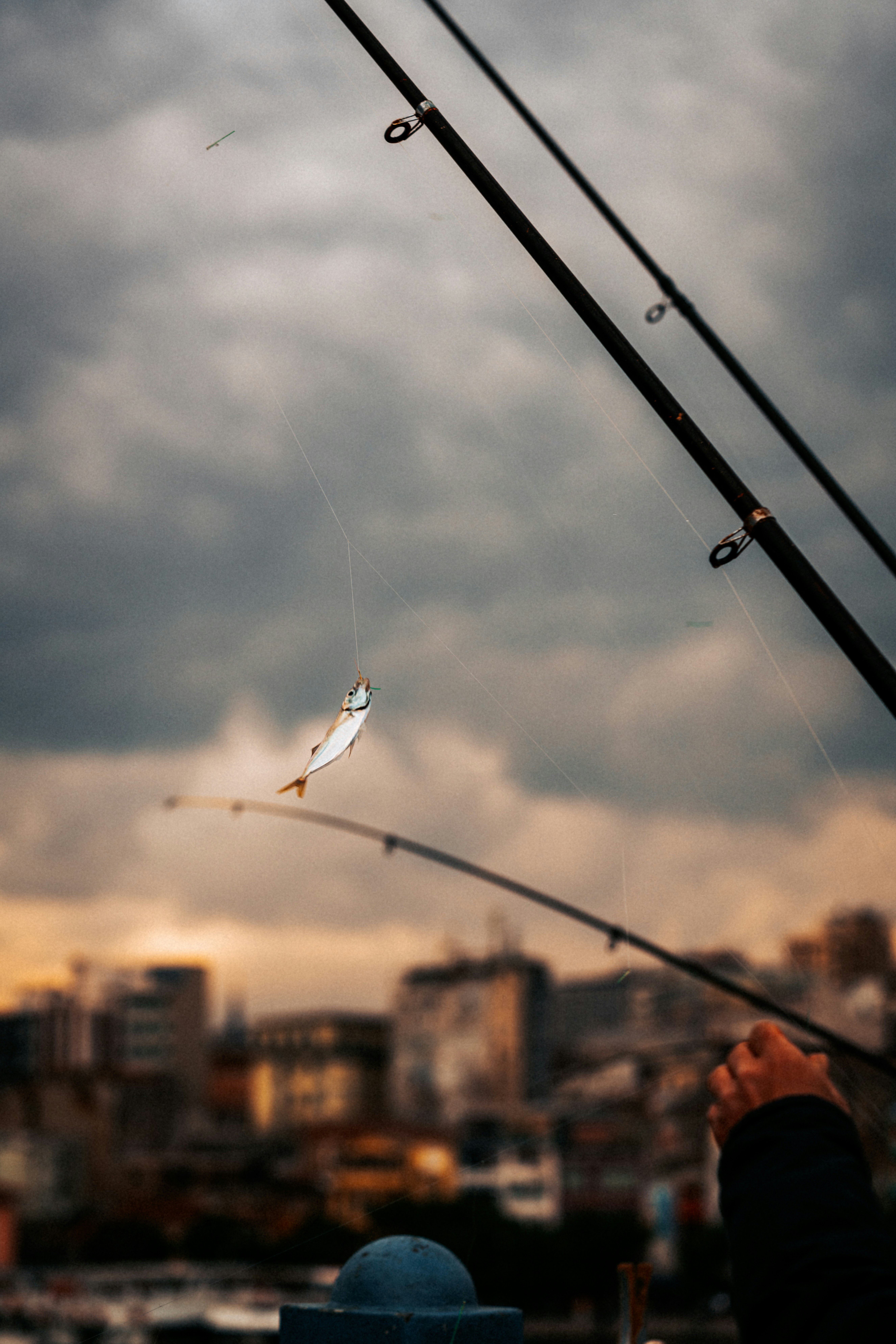 fishing skills
